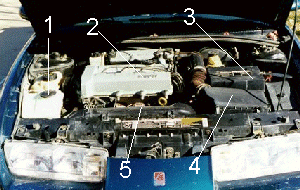 Under the bonnet